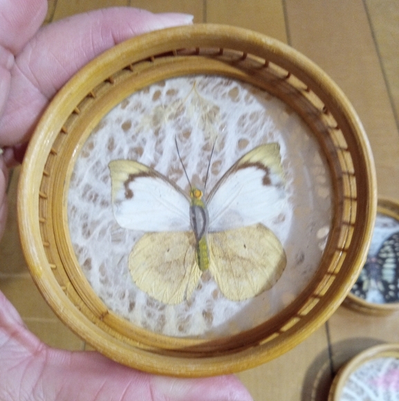 Vintage Decorative Bamboo and Rattan Pressed Butterfly Coasters Set of 4 - Picture 3 of 7